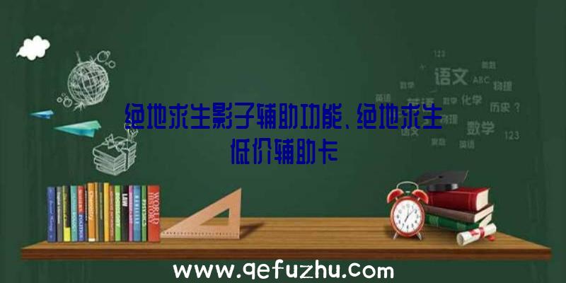 绝地求生影子辅助功能、绝地求生低价辅助卡