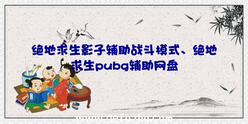 绝地求生影子辅助战斗模式、绝地求生pubg辅助网盘