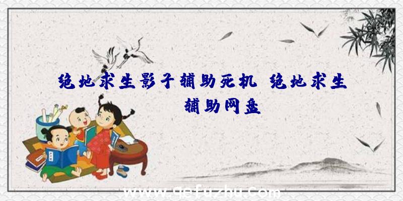 绝地求生影子辅助死机、绝地求生pubg辅助网盘