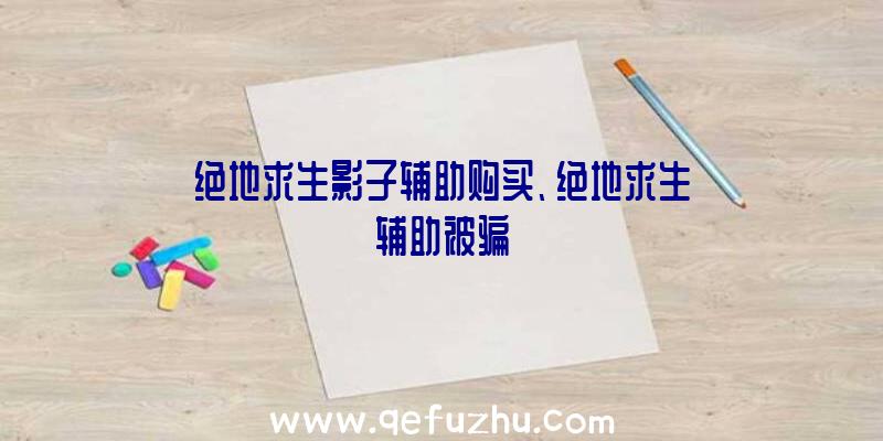 绝地求生影子辅助购买、绝地求生辅助被骗