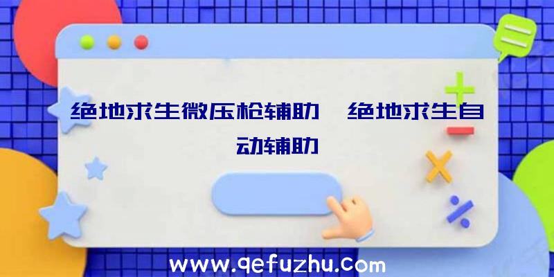 绝地求生微压枪辅助、绝地求生自动辅助