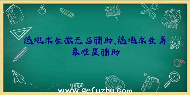 绝地求生微无后辅助、绝地求生屏幕准星辅助