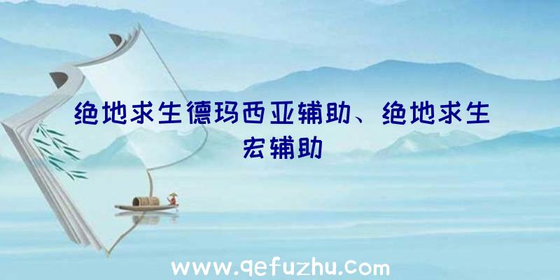 绝地求生德玛西亚辅助、绝地求生宏辅助