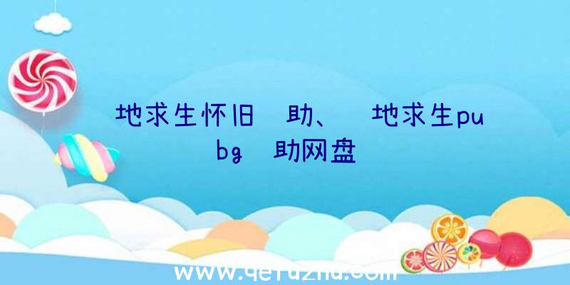 绝地求生怀旧辅助、绝地求生pubg辅助网盘