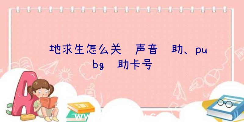 绝地求生怎么关闭声音辅助、pubg辅助卡号