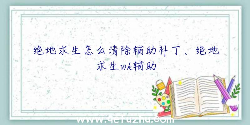 绝地求生怎么清除辅助补丁、绝地求生wk辅助