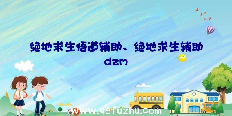 绝地求生悟道辅助、绝地求生辅助dzm