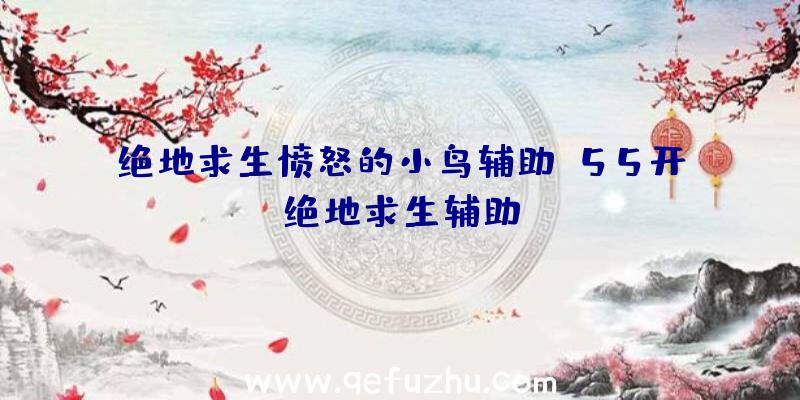 绝地求生愤怒的小鸟辅助、55开绝地求生辅助