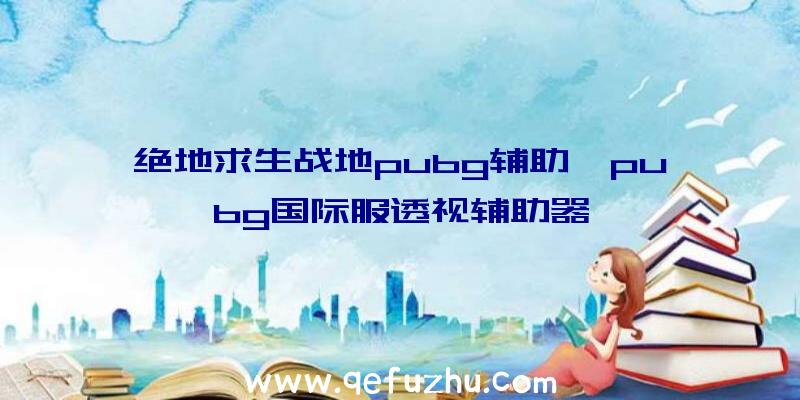 绝地求生战地pubg辅助、pubg国际服透视辅助器