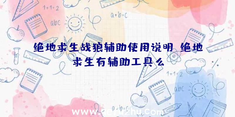 绝地求生战狼辅助使用说明、绝地求生有辅助工具么