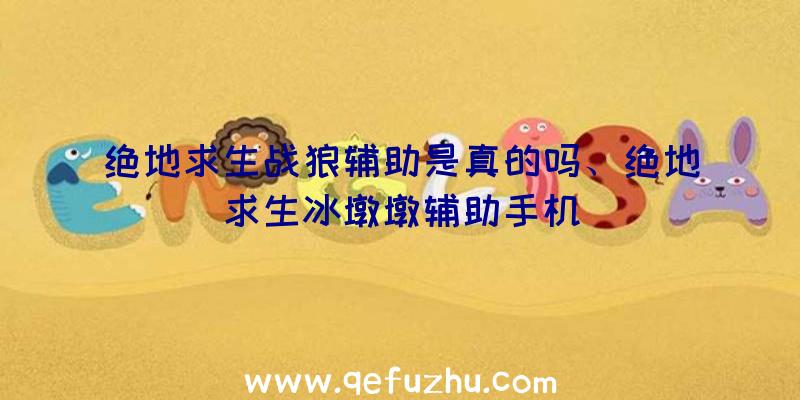 绝地求生战狼辅助是真的吗、绝地求生冰墩墩辅助手机