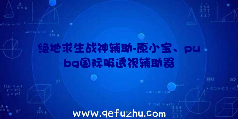 绝地求生战神辅助-原小宝、pubg国际服透视辅助器