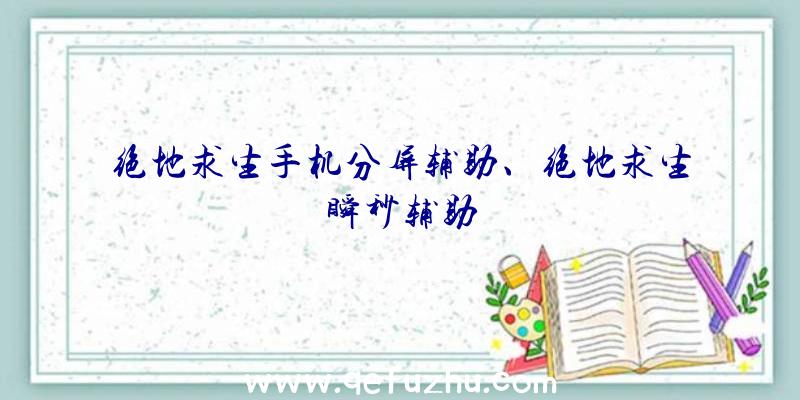 绝地求生手机分屏辅助、绝地求生瞬秒辅助