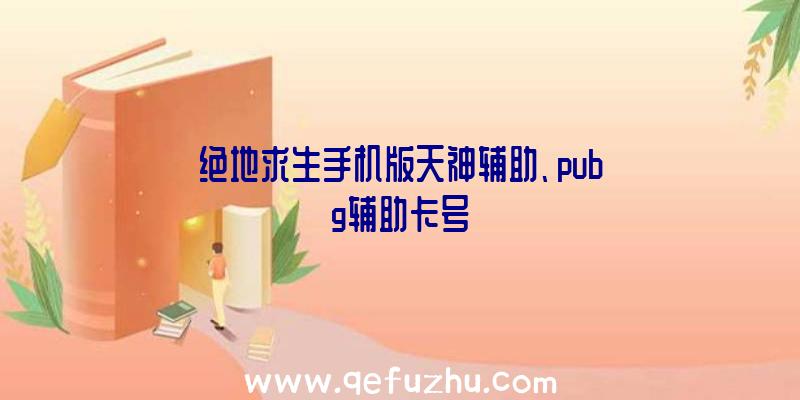 绝地求生手机版天神辅助、pubg辅助卡号