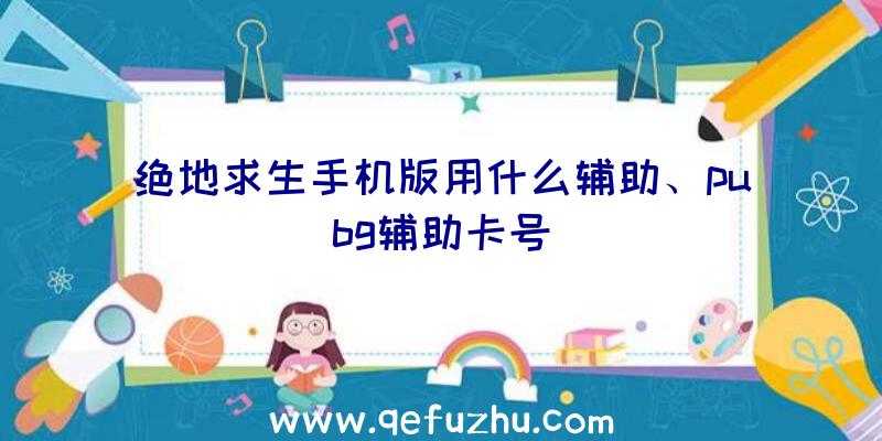 绝地求生手机版用什么辅助、pubg辅助卡号