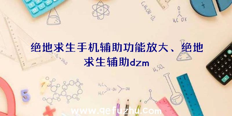 绝地求生手机辅助功能放大、绝地求生辅助dzm