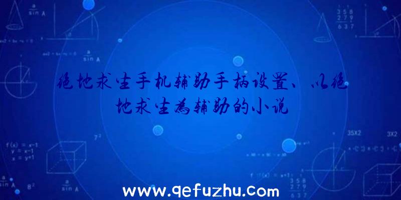 绝地求生手机辅助手柄设置、以绝地求生为辅助的小说