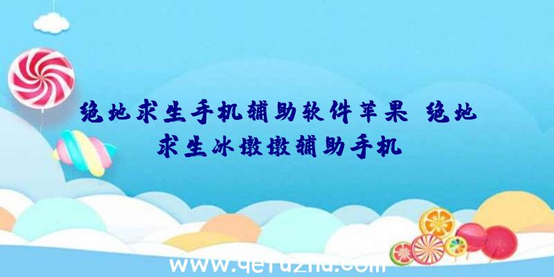 绝地求生手机辅助软件苹果、绝地求生冰墩墩辅助手机