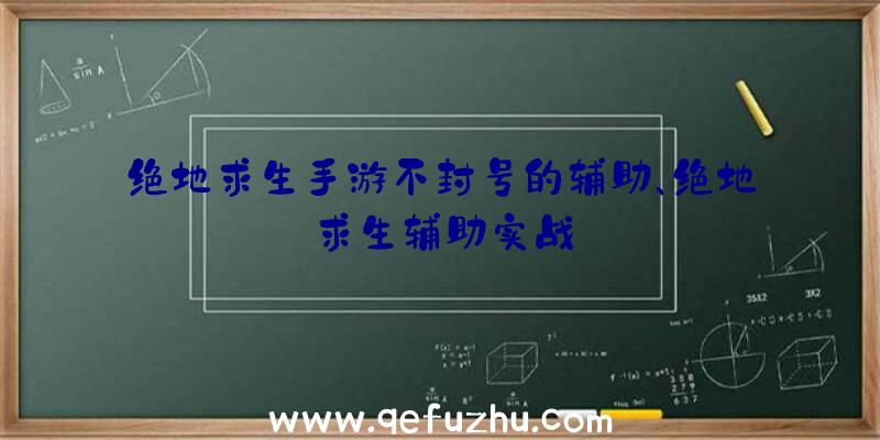 绝地求生手游不封号的辅助、绝地求生辅助实战