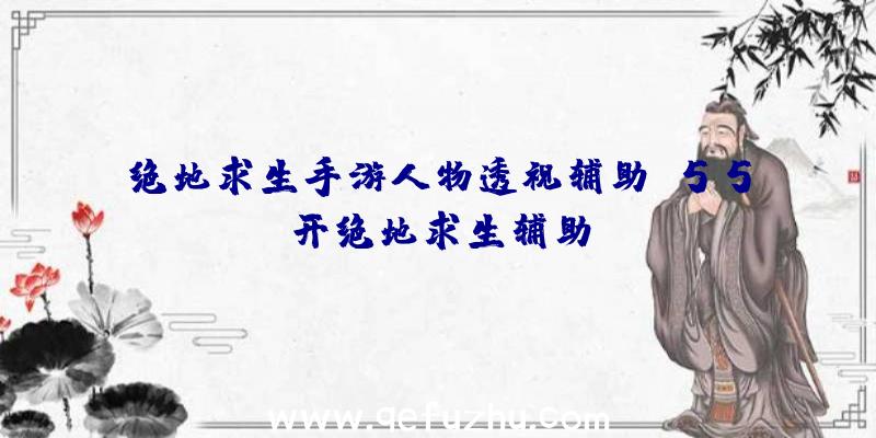 绝地求生手游人物透视辅助、55开绝地求生辅助