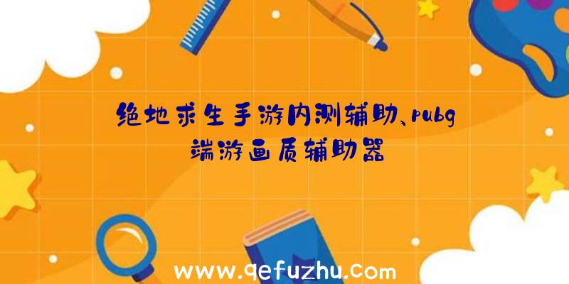 绝地求生手游内测辅助、pubg端游画质辅助器