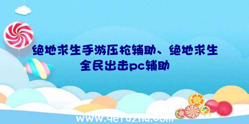 绝地求生手游压枪辅助、绝地求生全民出击pc辅助