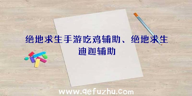 绝地求生手游吃鸡辅助、绝地求生迪迦辅助