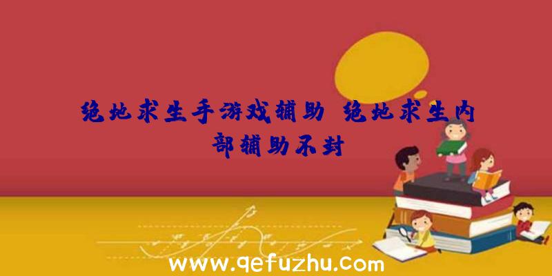 绝地求生手游戏辅助、绝地求生内部辅助不封