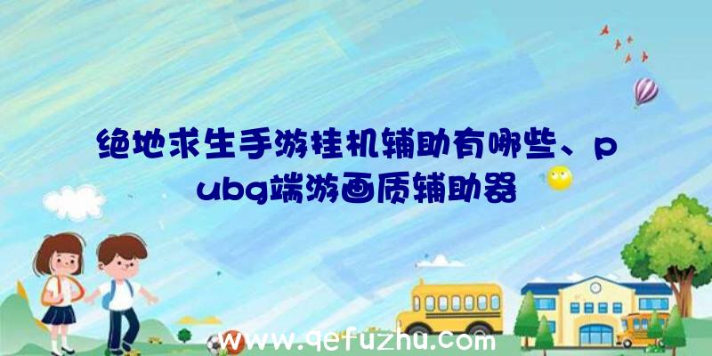 绝地求生手游挂机辅助有哪些、pubg端游画质辅助器