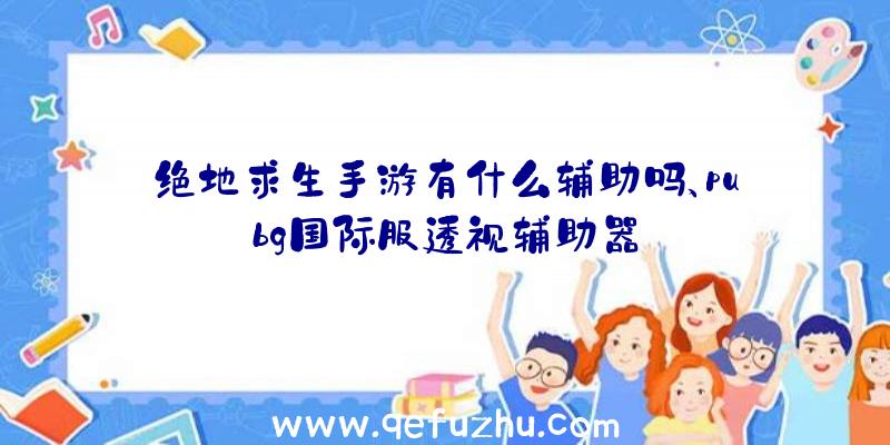 绝地求生手游有什么辅助吗、pubg国际服透视辅助器