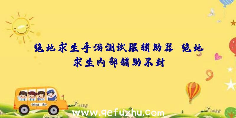 绝地求生手游测试服辅助器、绝地求生内部辅助不封