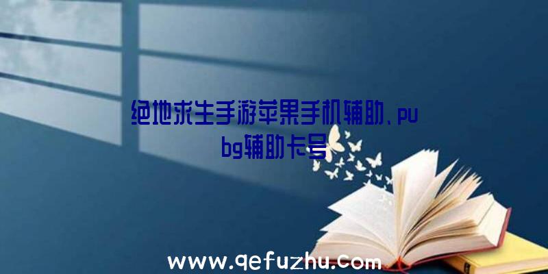 绝地求生手游苹果手机辅助、pubg辅助卡号