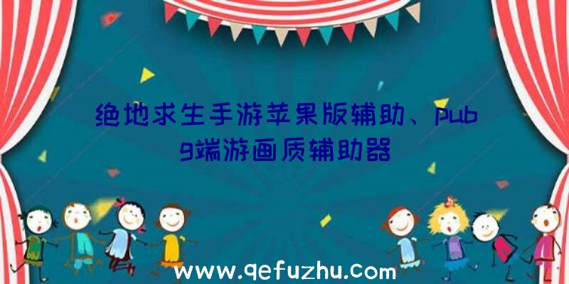 绝地求生手游苹果版辅助、pubg端游画质辅助器