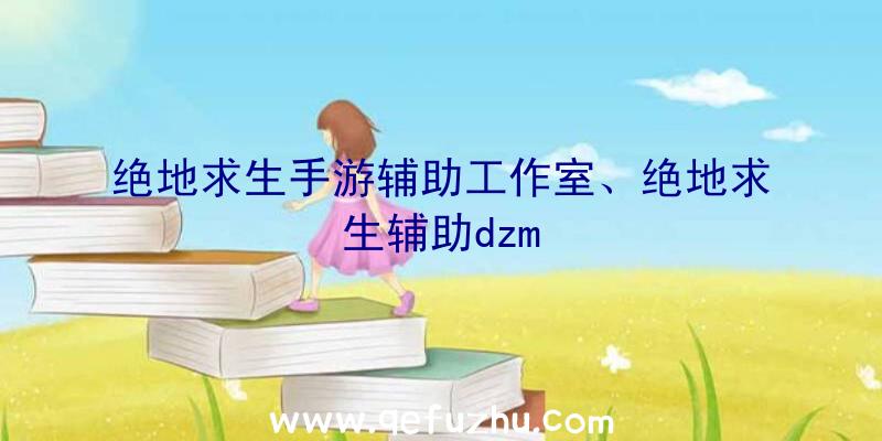 绝地求生手游辅助工作室、绝地求生辅助dzm