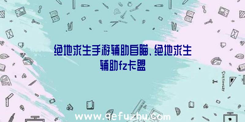 绝地求生手游辅助自瞄、绝地求生辅助fz卡盟