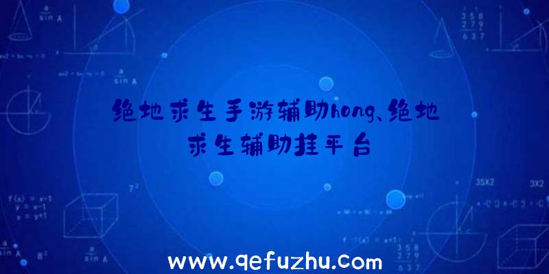 绝地求生手游辅助hong、绝地求生辅助挂平台