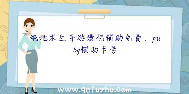 绝地求生手游透视辅助免费、pubg辅助卡号