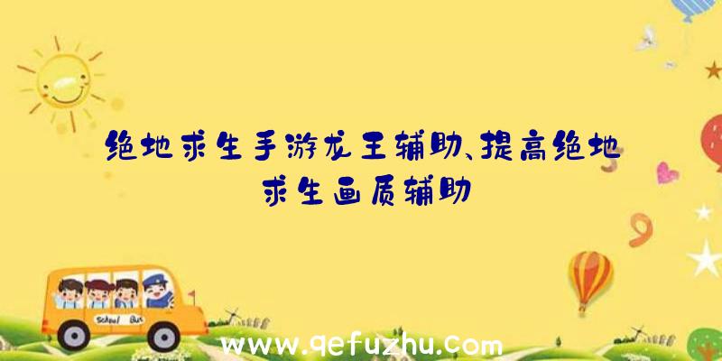 绝地求生手游龙王辅助、提高绝地求生画质辅助