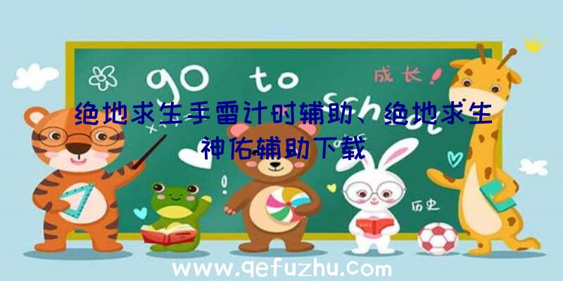 绝地求生手雷计时辅助、绝地求生神佑辅助下载