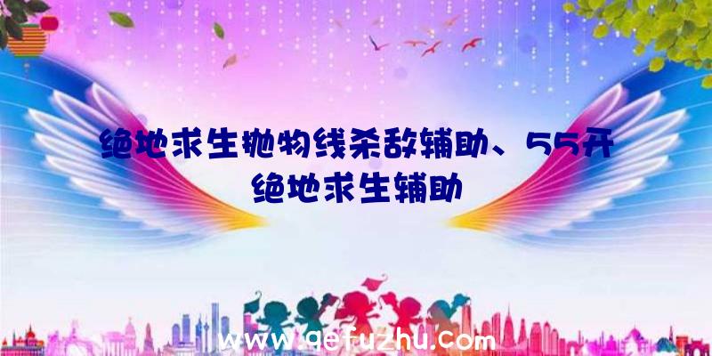 绝地求生抛物线杀敌辅助、55开绝地求生辅助