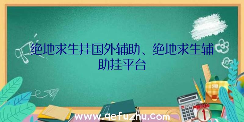 绝地求生挂国外辅助、绝地求生辅助挂平台