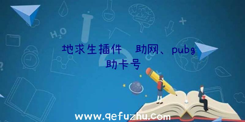 绝地求生插件辅助网、pubg辅助卡号