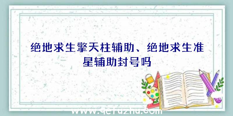 绝地求生擎天柱辅助、绝地求生准星辅助封号吗