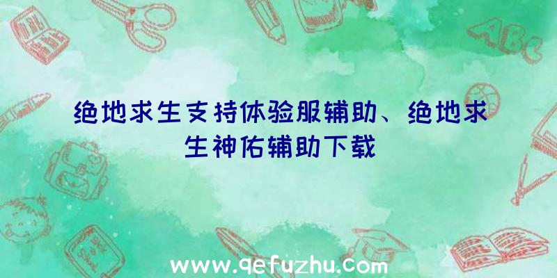 绝地求生支持体验服辅助、绝地求生神佑辅助下载