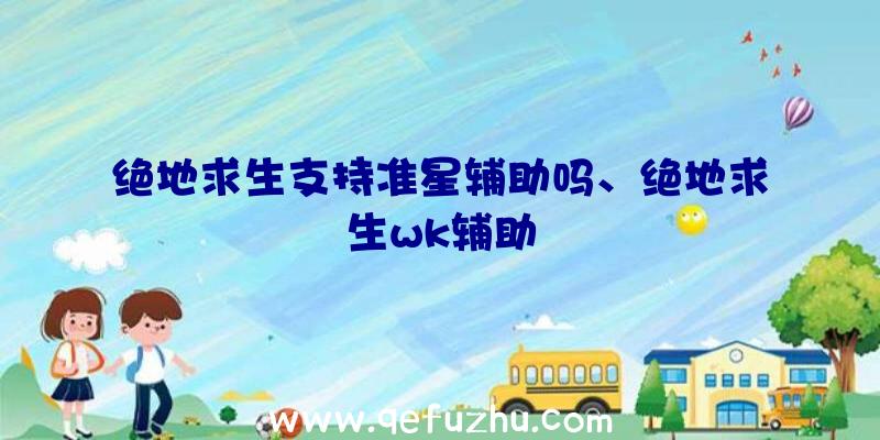 绝地求生支持准星辅助吗、绝地求生wk辅助