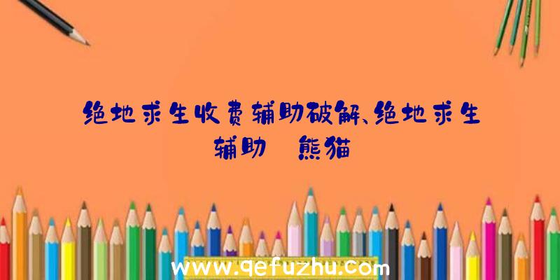 绝地求生收费辅助破解、绝地求生辅助