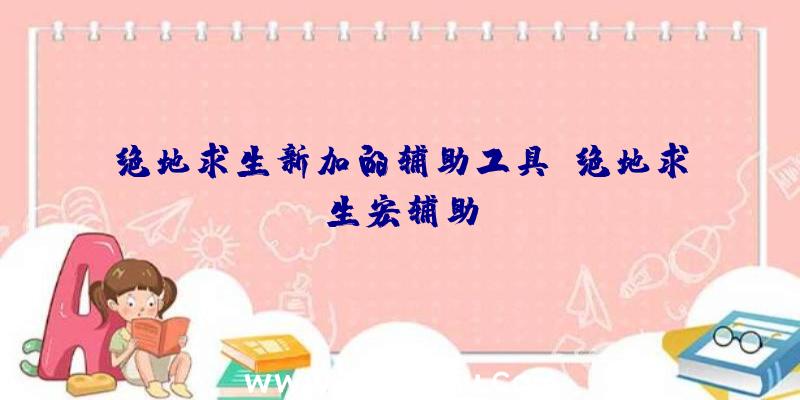 绝地求生新加的辅助工具、绝地求生宏辅助