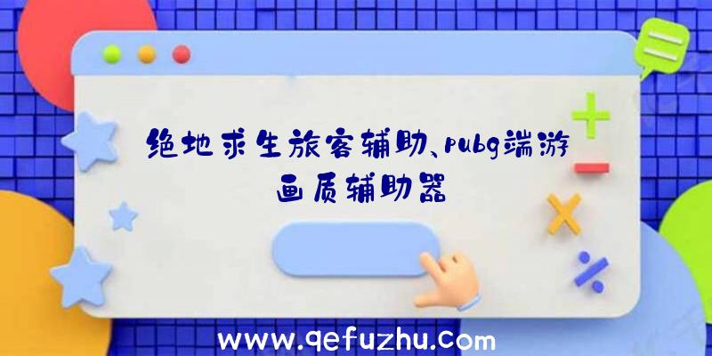 绝地求生旅客辅助、pubg端游画质辅助器