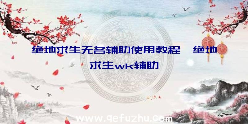 绝地求生无名辅助使用教程、绝地求生wk辅助