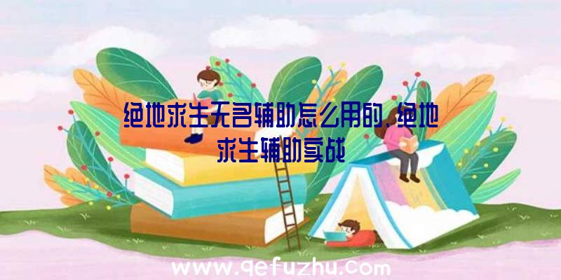 绝地求生无名辅助怎么用的、绝地求生辅助实战